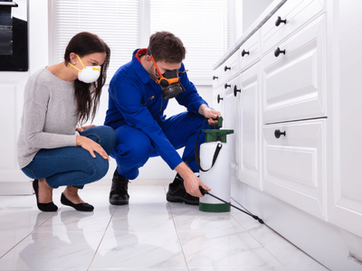 About Pest Control Phoenix - pest control phoenix experts in Phoenix